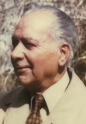 Valliolah  Partovi