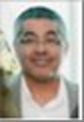 Ramin Vakilian