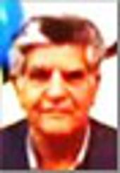 Einolah Saifoldini